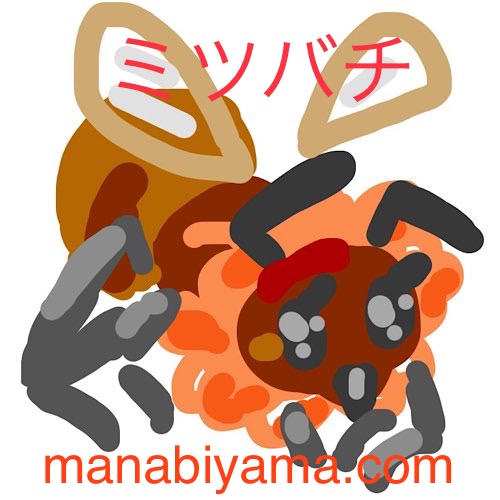 ”絵しりとり・ミツバチ”